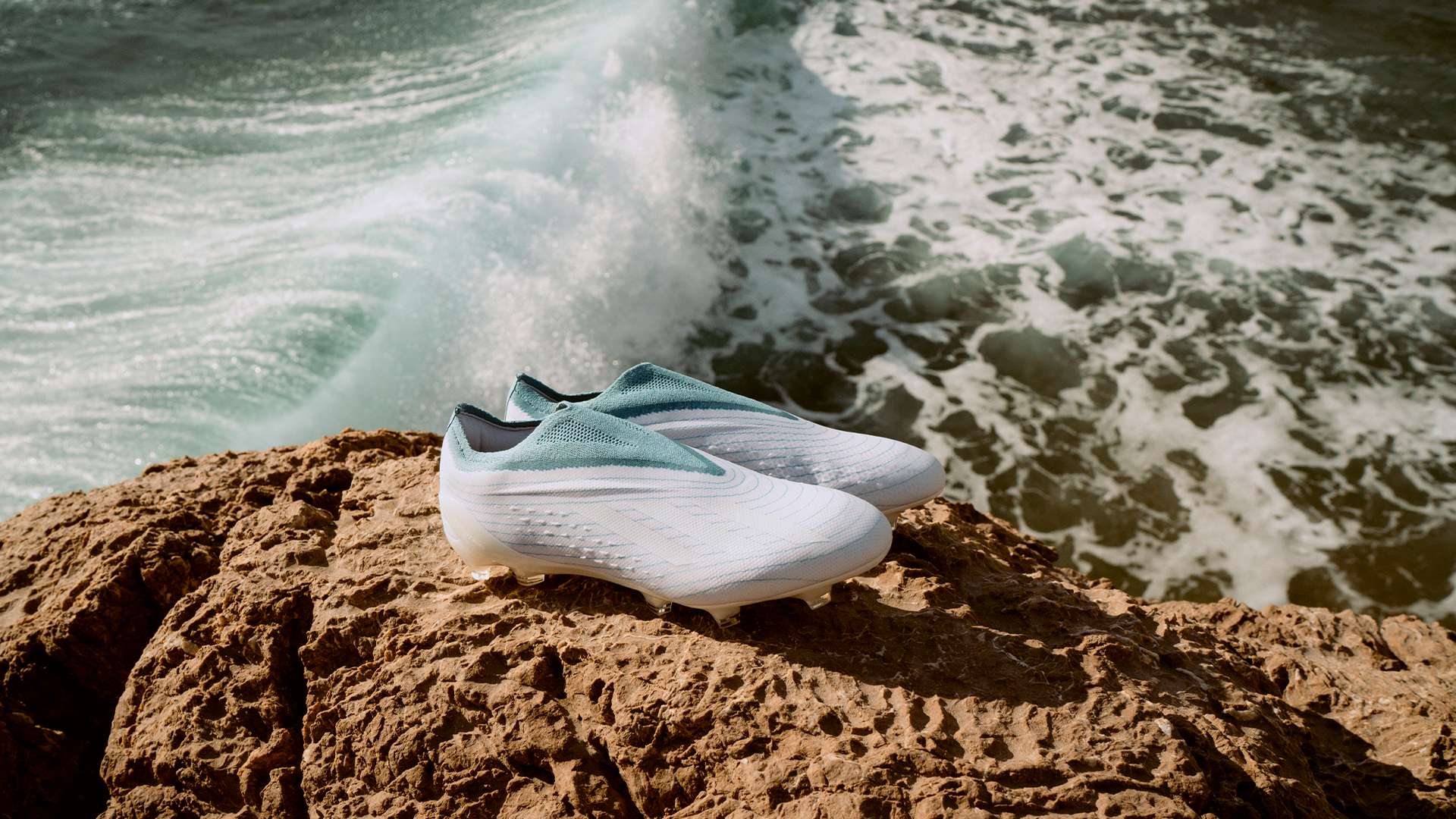 教练们学习 教练们学习